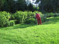 ulla07jun 033